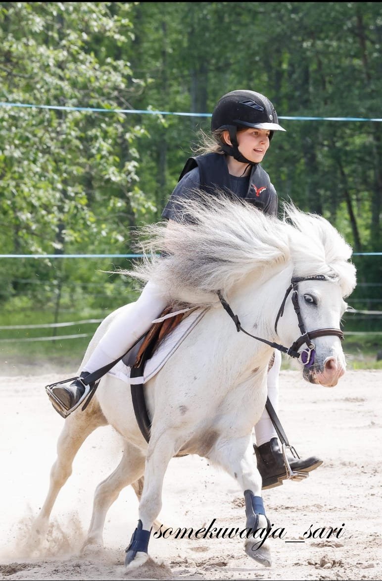 Point Two Lilli-malli